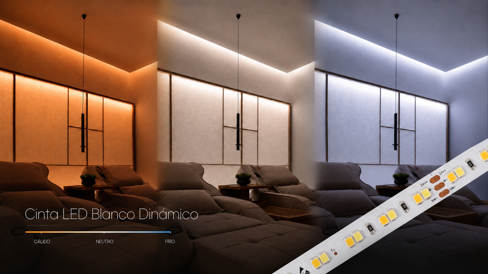 Cinta LED Blanco Dinamico