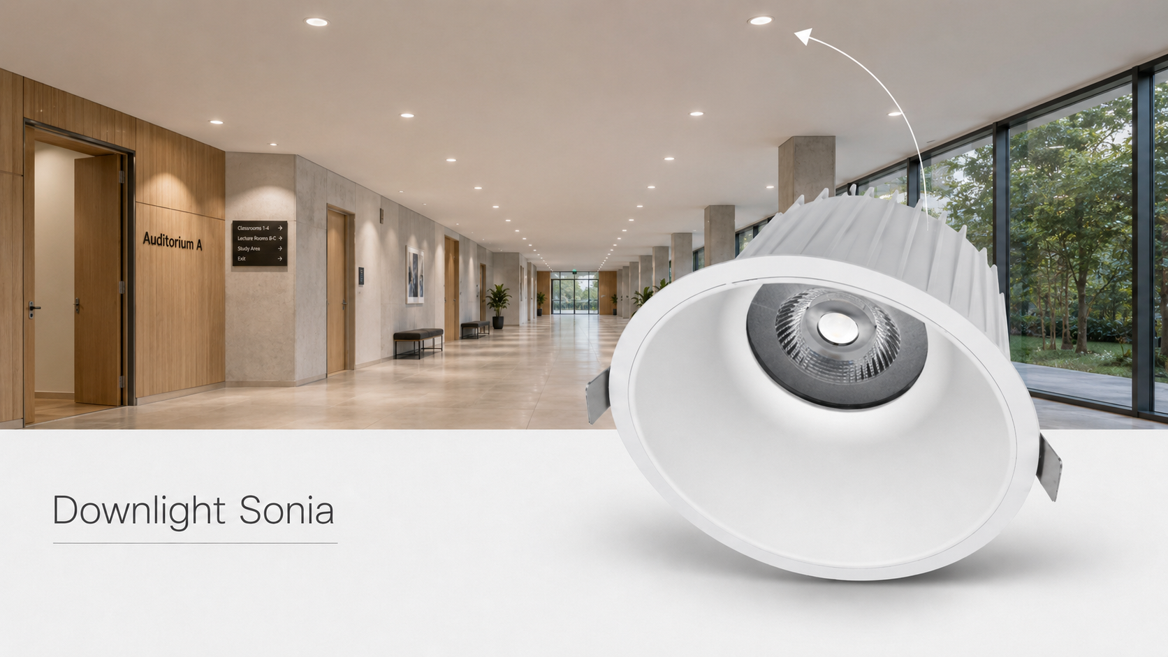 Downlight Sonia